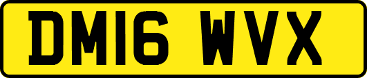 DM16WVX