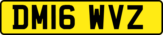 DM16WVZ