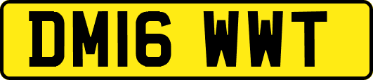 DM16WWT