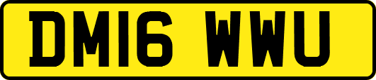 DM16WWU