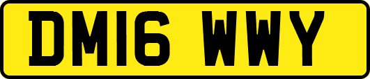 DM16WWY