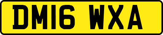 DM16WXA