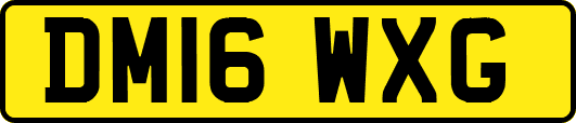DM16WXG