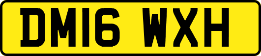 DM16WXH