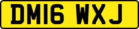 DM16WXJ