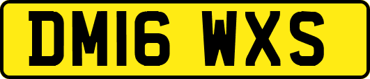 DM16WXS