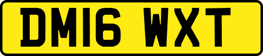 DM16WXT