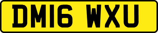 DM16WXU