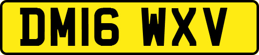 DM16WXV