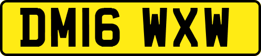 DM16WXW