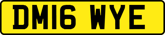 DM16WYE