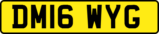 DM16WYG