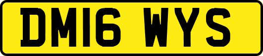 DM16WYS