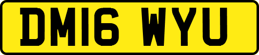 DM16WYU