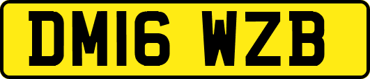 DM16WZB