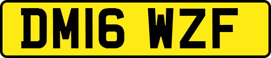 DM16WZF