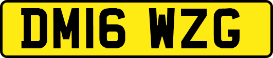DM16WZG