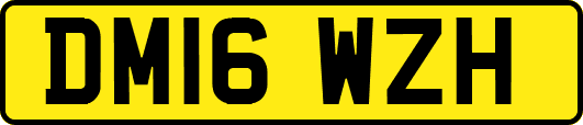 DM16WZH