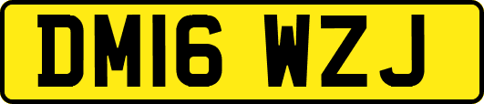 DM16WZJ