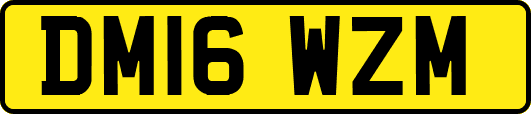 DM16WZM