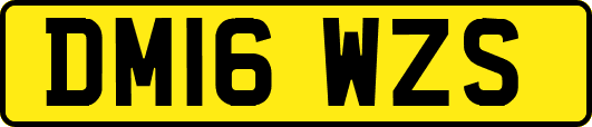 DM16WZS