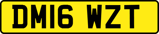 DM16WZT