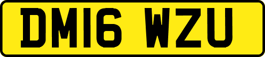DM16WZU