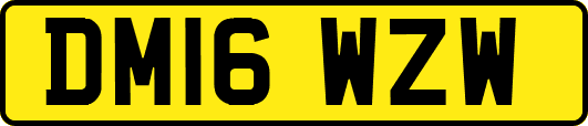 DM16WZW