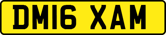 DM16XAM