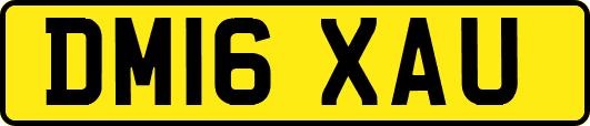 DM16XAU