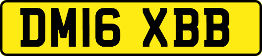DM16XBB