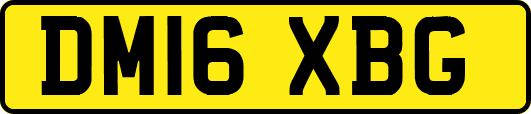 DM16XBG