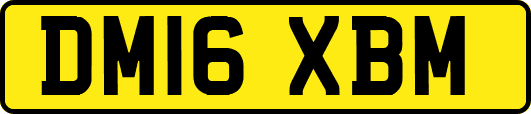 DM16XBM
