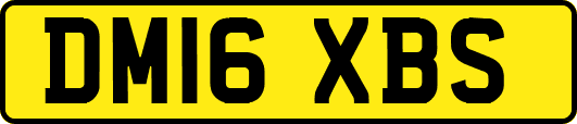 DM16XBS