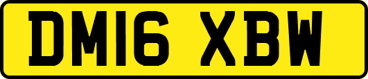 DM16XBW