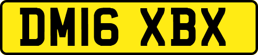 DM16XBX