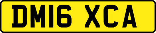 DM16XCA