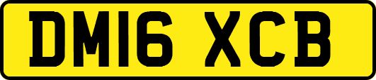 DM16XCB