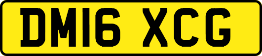 DM16XCG