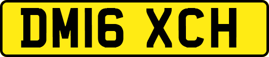 DM16XCH