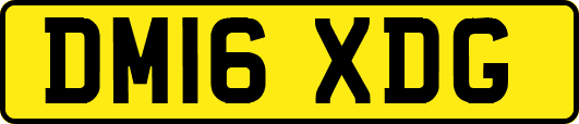 DM16XDG