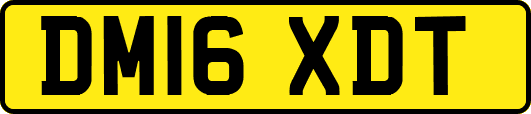 DM16XDT