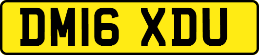 DM16XDU