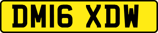 DM16XDW