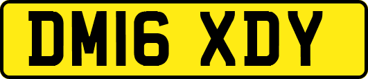 DM16XDY