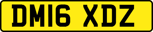 DM16XDZ