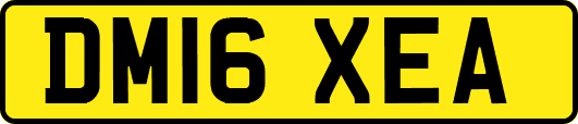 DM16XEA
