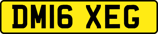 DM16XEG