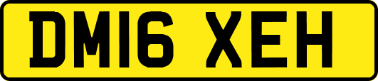 DM16XEH