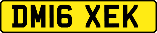 DM16XEK